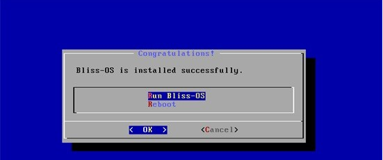 install bliss os on pc